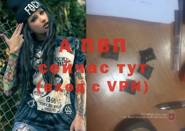 СК Волоколамск