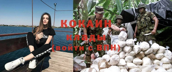 СК Волоколамск