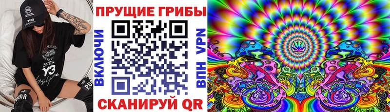 mega ссылки Эртиль Псилоцибиновые грибы мицелий
