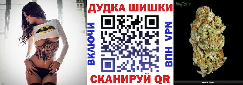 купить  сайты  Эртиль  Марихуана план 